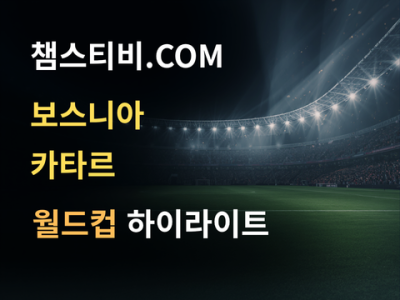 보스니아 VS 카타르 3:1 월드컵 하이라이트