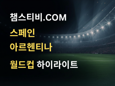 스페인 VS 아르헨티나 1:0 월드컵 하이라이트