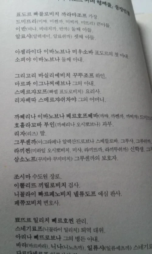 17925912331395.webp