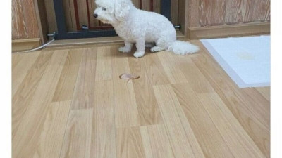 배민 별 하나짜리 리뷰