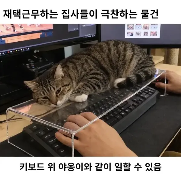 17925012743122.webp