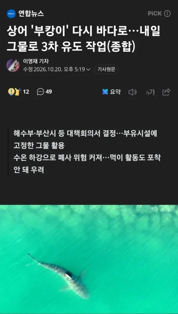 17925084727413.webp