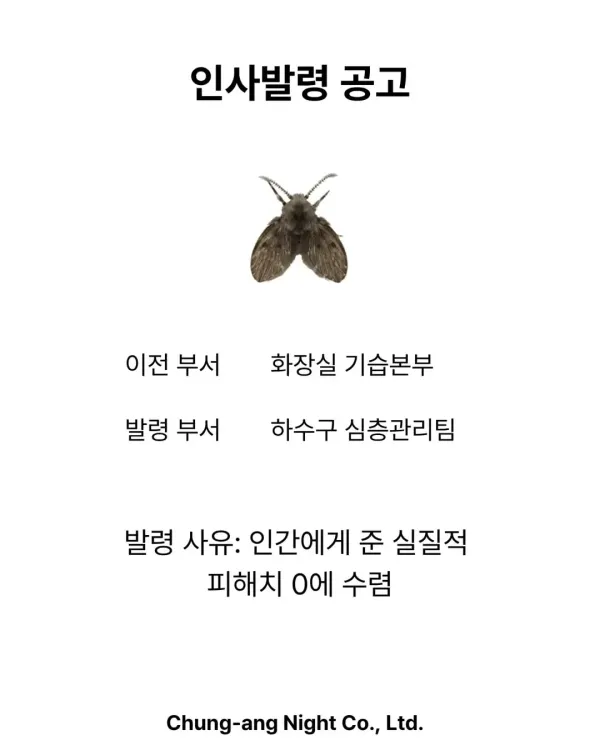 17925480713543.webp