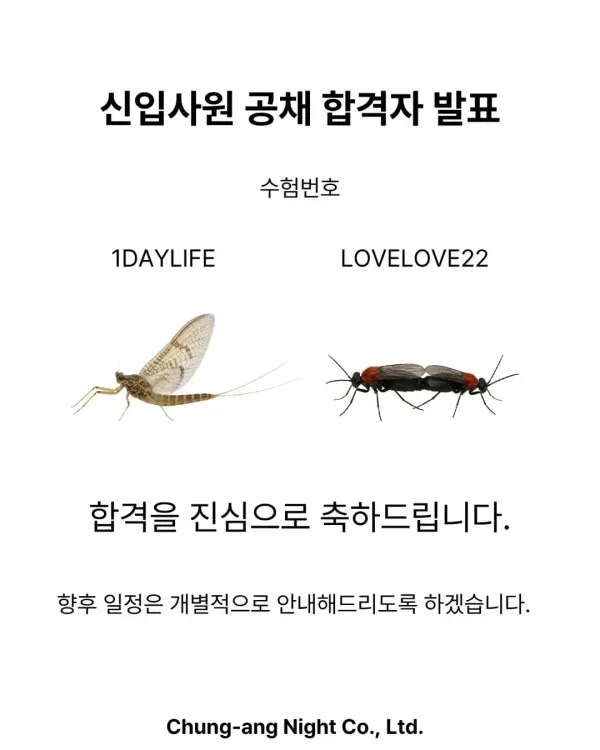 17925480724725.webp