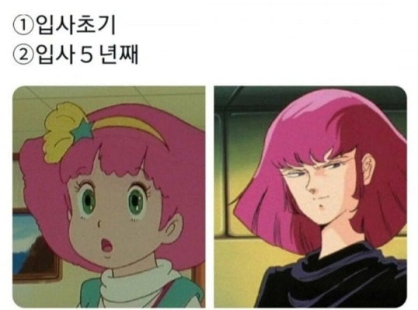 179254807913.jpg