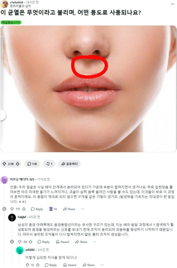 17925840976852.png