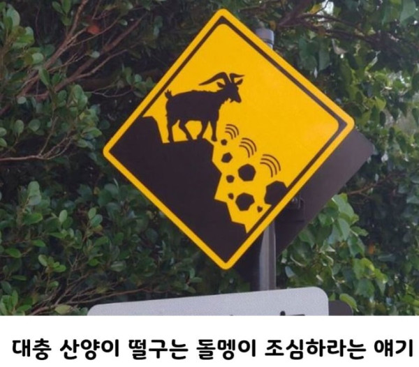 17925948550562.png