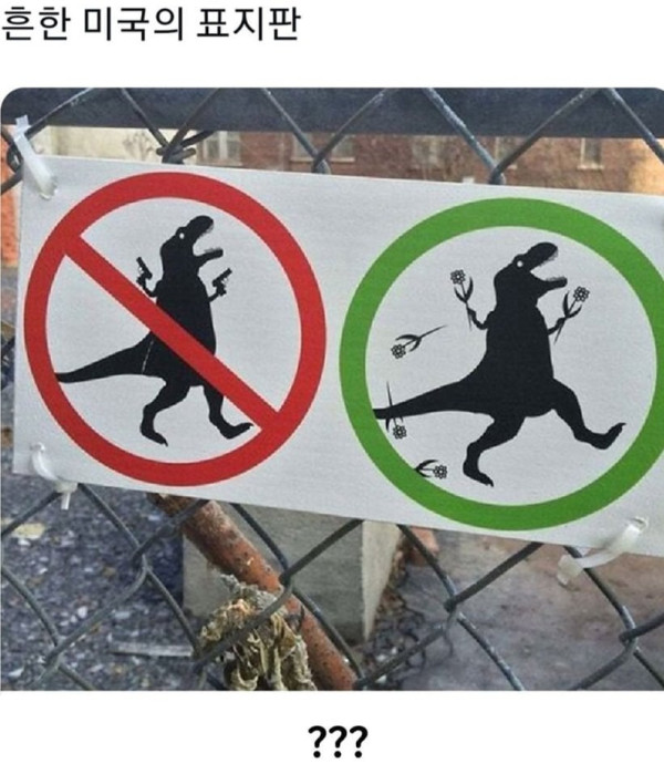 17925948558251.png
