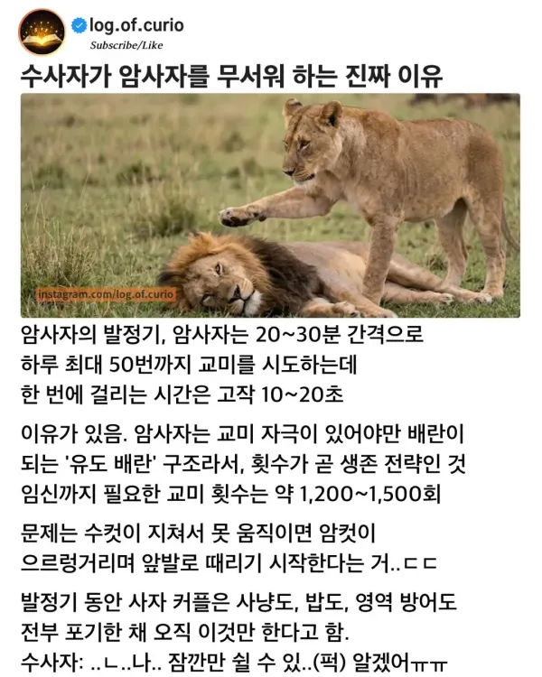 17926452569594.webp