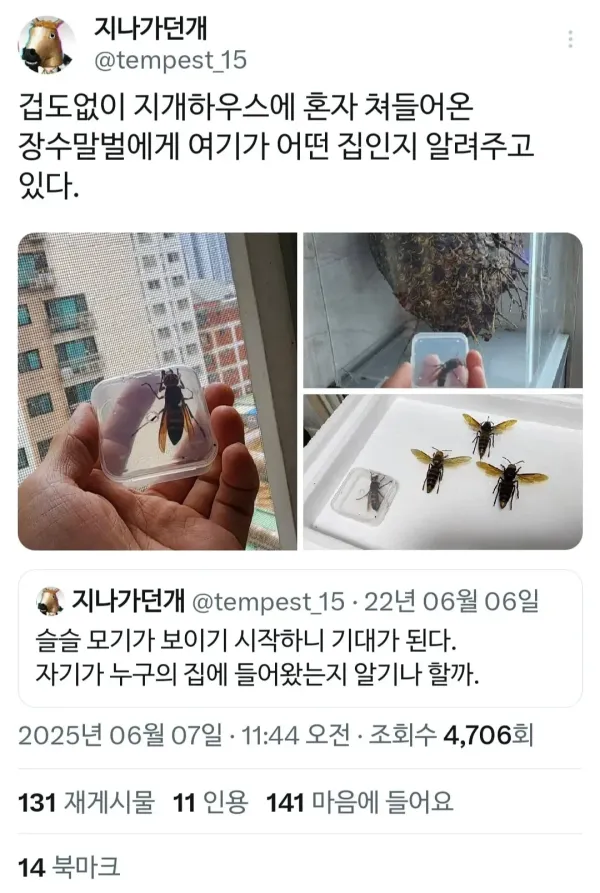17926488563402.webp