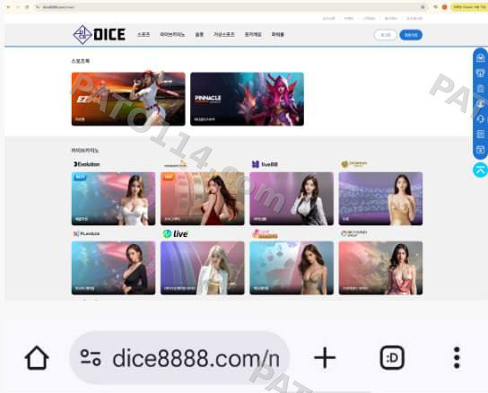 다이스