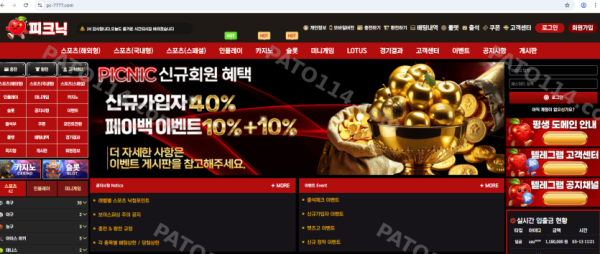 피크닉