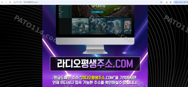 라디오