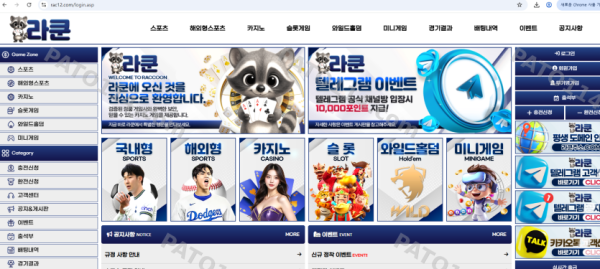 라쿤
