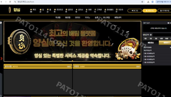 양심