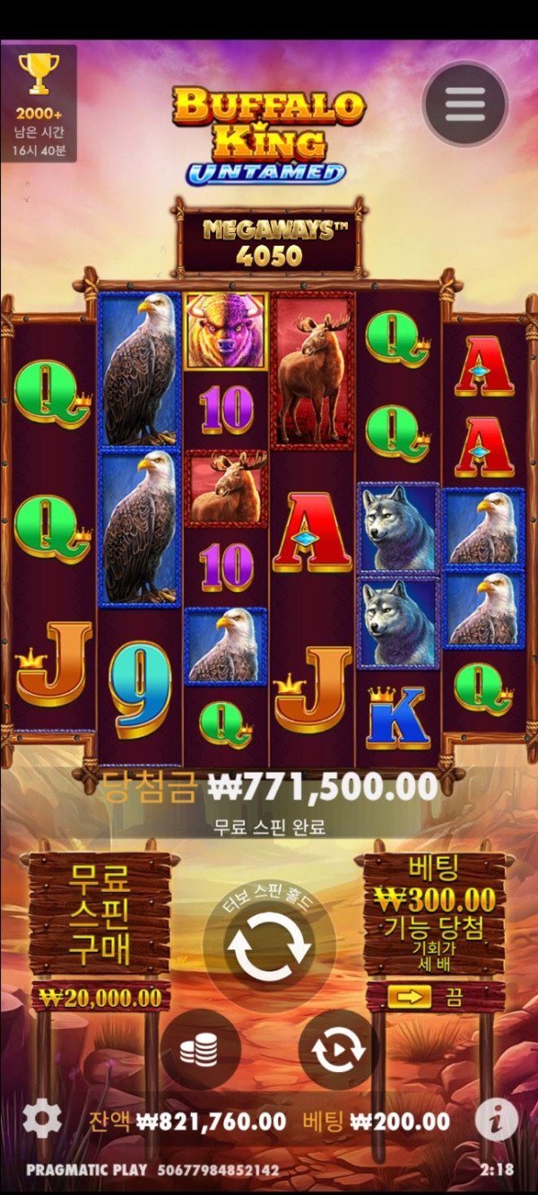17925542720729.jpg