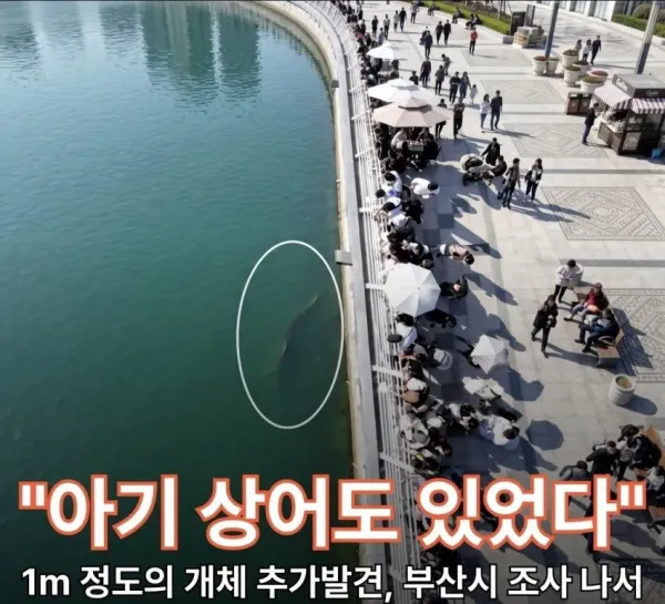 17924942121063.webp